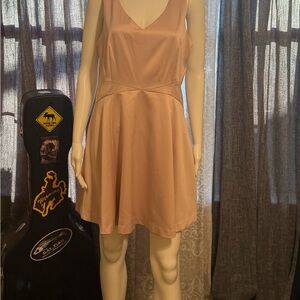 NWOT Forever 21 Elegant Sleeveless Pink Dress